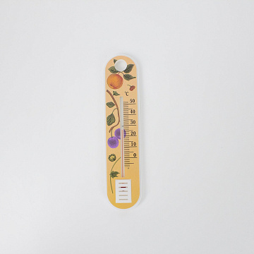 Термометр комнатный на подвесе 176х38х25мм пластик белый