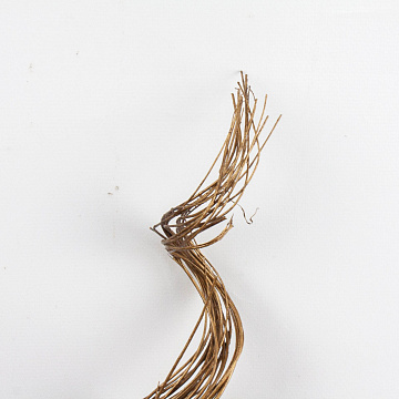 Сухоцвет набор бронза 20шт 120см