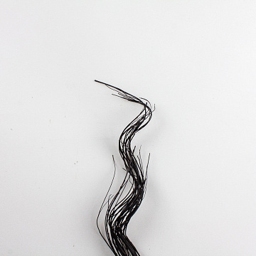 Сухоцвет набор ветка черная 20шт 120см